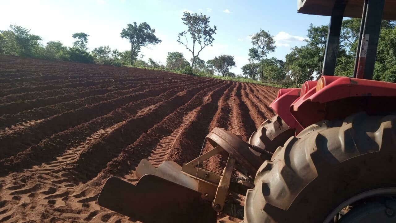 Imagem de compartilhamento para o artigo Prefetura de Figueirão realiza serviços de aragem, gradeamento e silagem para os pequenos produtores rurais da MS Todo dia